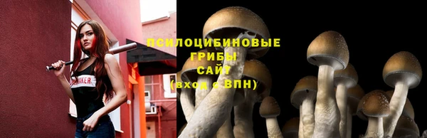 твердый Дмитриев