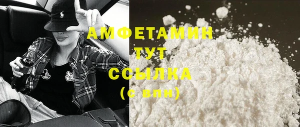 твердый Дмитриев