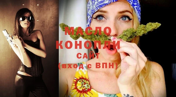 эйфоретик Ельня