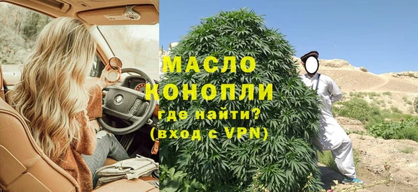 твердый Дмитриев